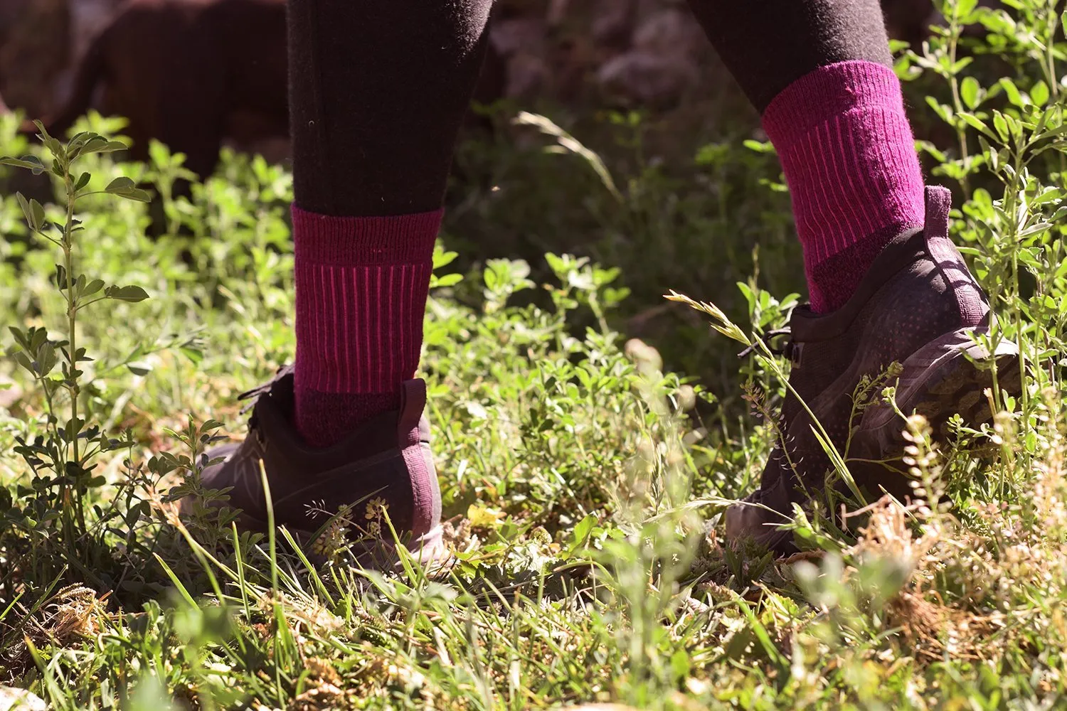 Andante | Alpaca Hike & Trek Socks