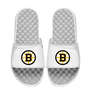 Boston Bruins Primary Logo