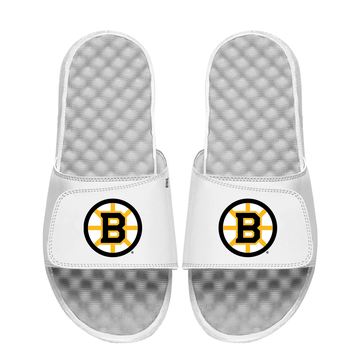 Boston Bruins Primary Logo