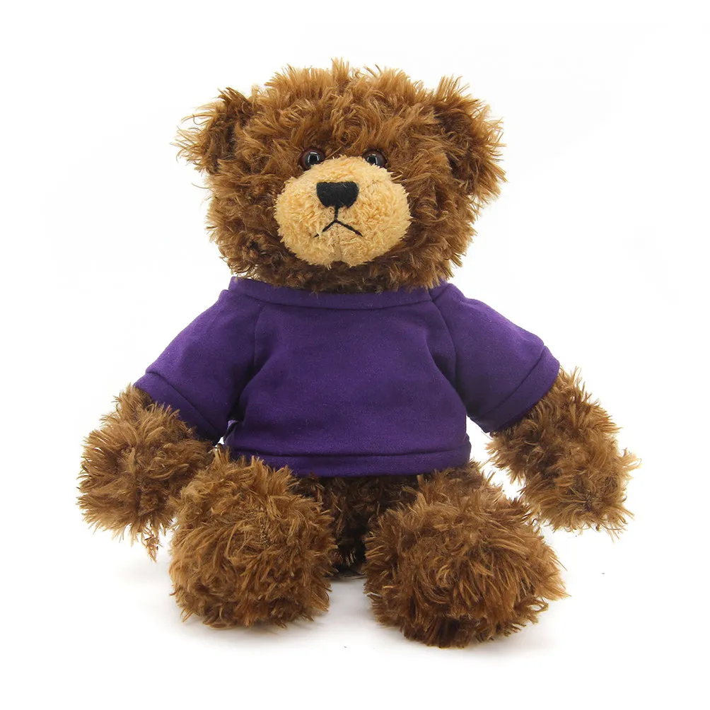 Brandon Chocolate Teddy Bear - 11"