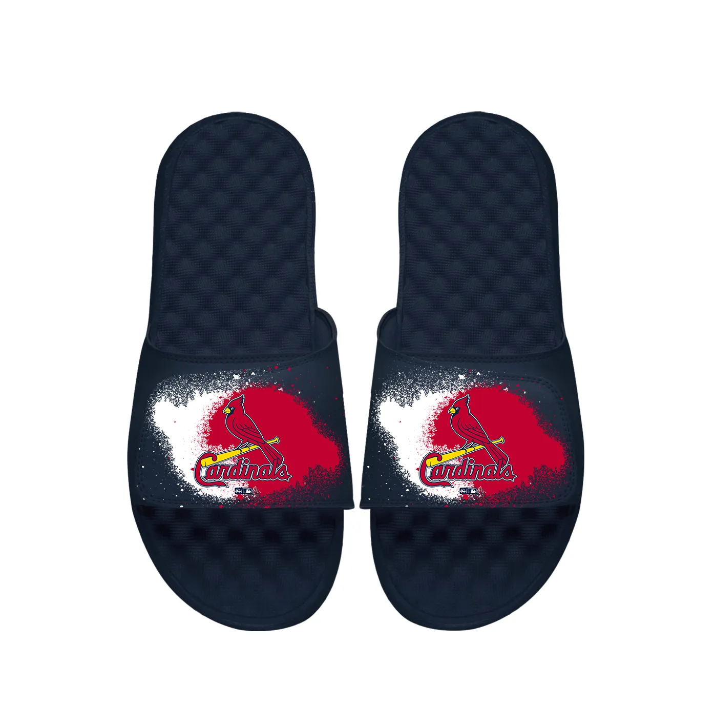 Cardinals Spray Paint Slides