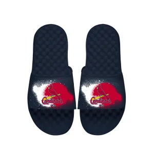 Cardinals Spray Paint Slides