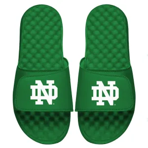 Notre Dame Whiteout Slides